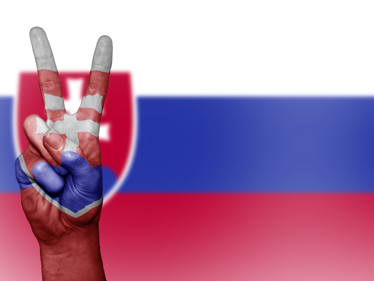 Internet di Slovakia: Kami berada di bawah rata-rata EU, 600,000 orang tidak pernah menggunakan Internet