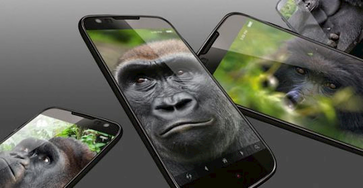 Anda terus menjatuhkan telefon anda, jadi Gorilla Glass harus menjadi lebih baik