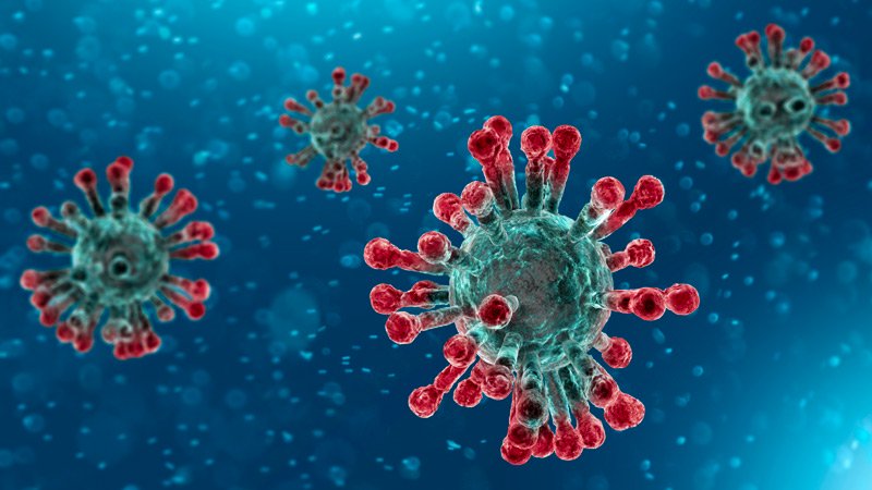 Ministerstvo zdravotníctva potvrdzuje 3 nové podozrivé prípady koronavírusu v Brazílii 336