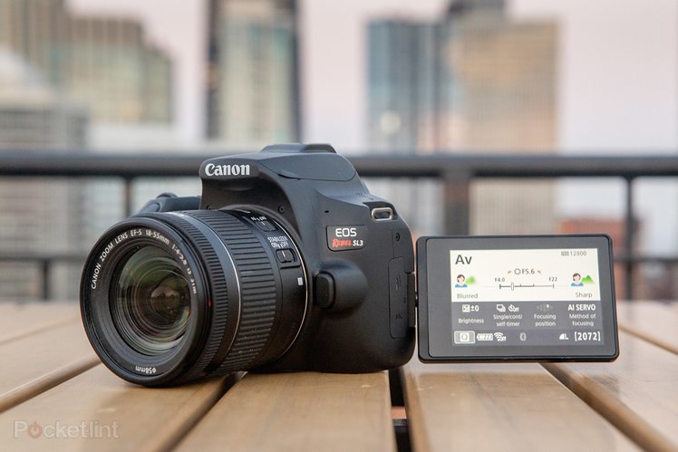 Recenzia Canon EOS 250D (Rebel SL3): Návrat k základným informáciám 219