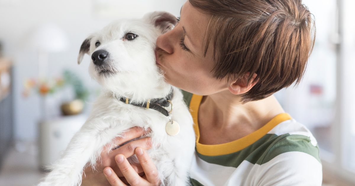 Koronavírus: Takmer polovica majiteľov psov bozkáva svojich miláčikov napriek riziku prenosu