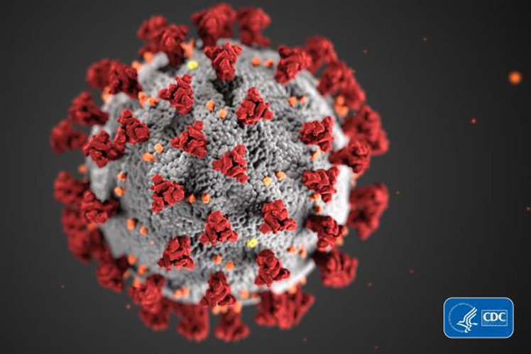 Výskumom koronavírusu môžete pomôcť s skladaním @ home 1113